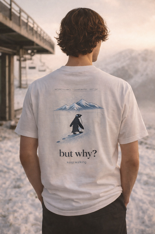 BUT WHY? Premium Graphic Tee